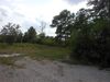 247 N Bultman Dr photo